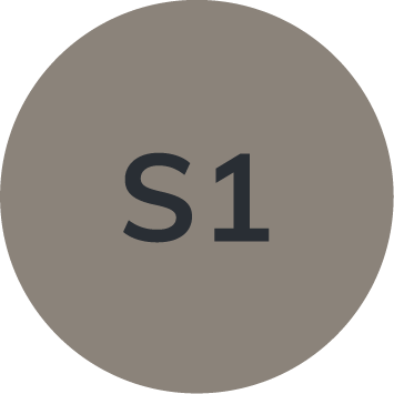 S1